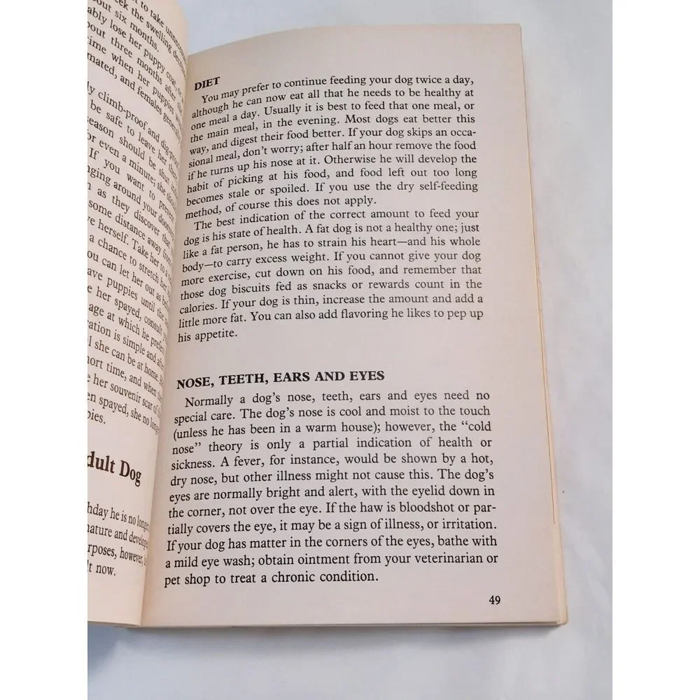 How to Raise and Train‎ a Siberian Husky Paperback Lorna B. Demido 1983